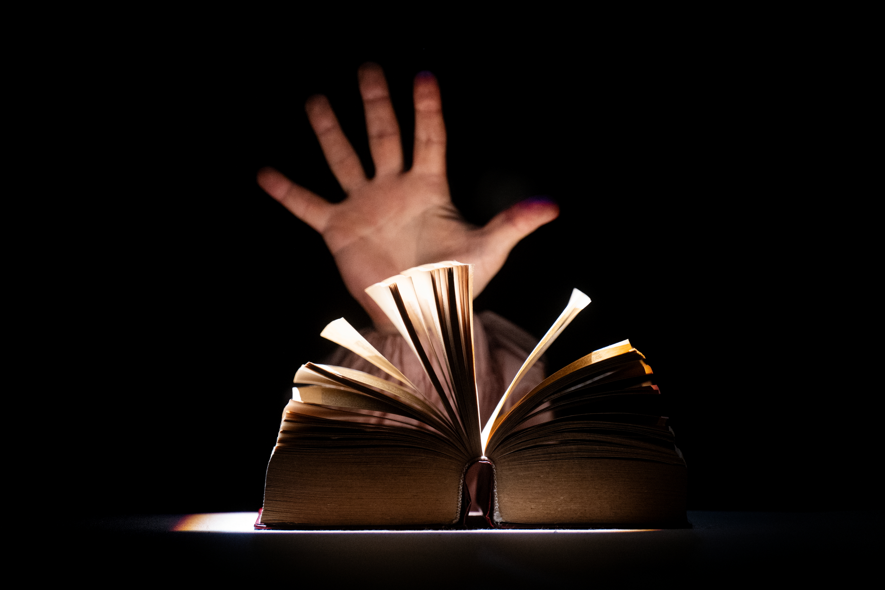 LLVS vadovė D. Daugirdienė: „Verčiant pjeses svarbiausia, kad tekstas  skambėtų natūraliai“